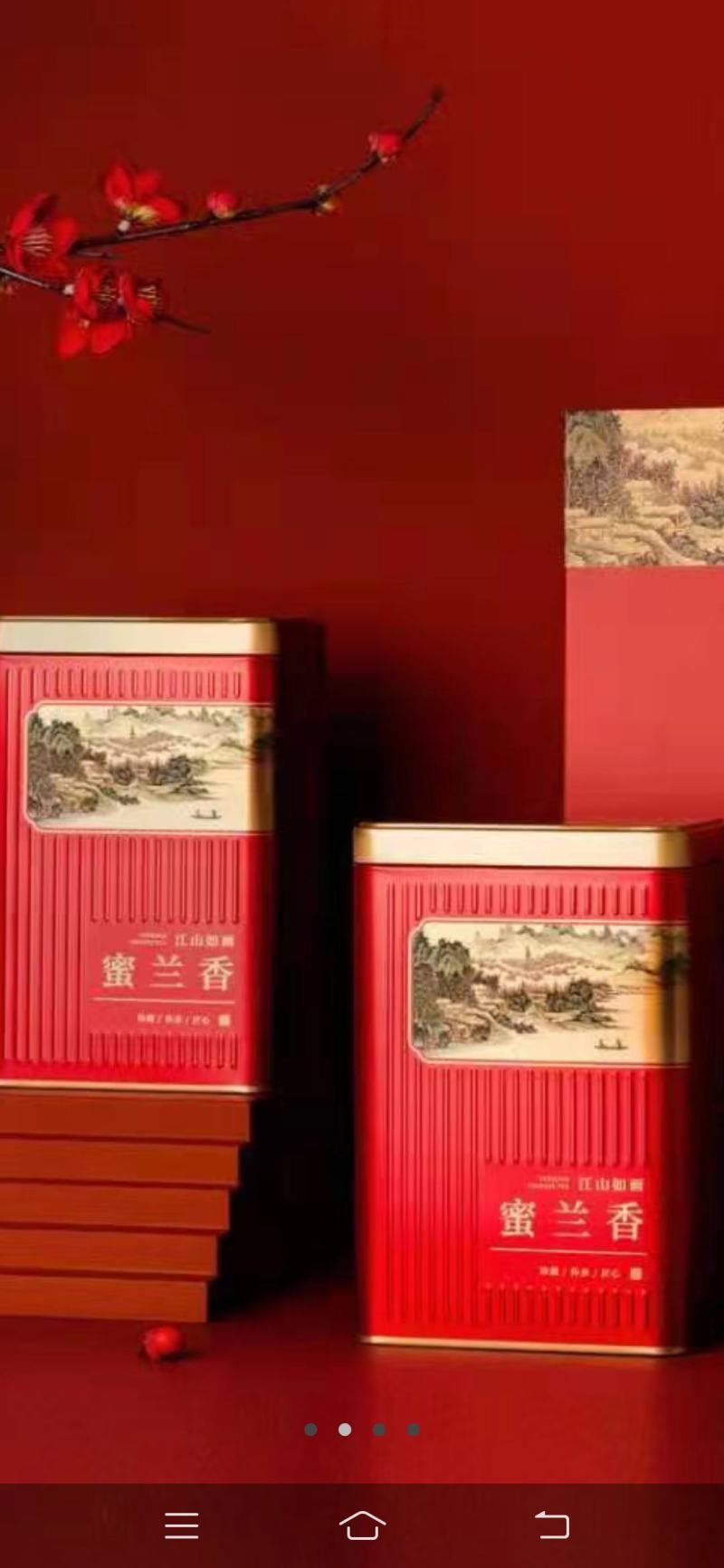 凤凰春蜜兰单枞老树生态