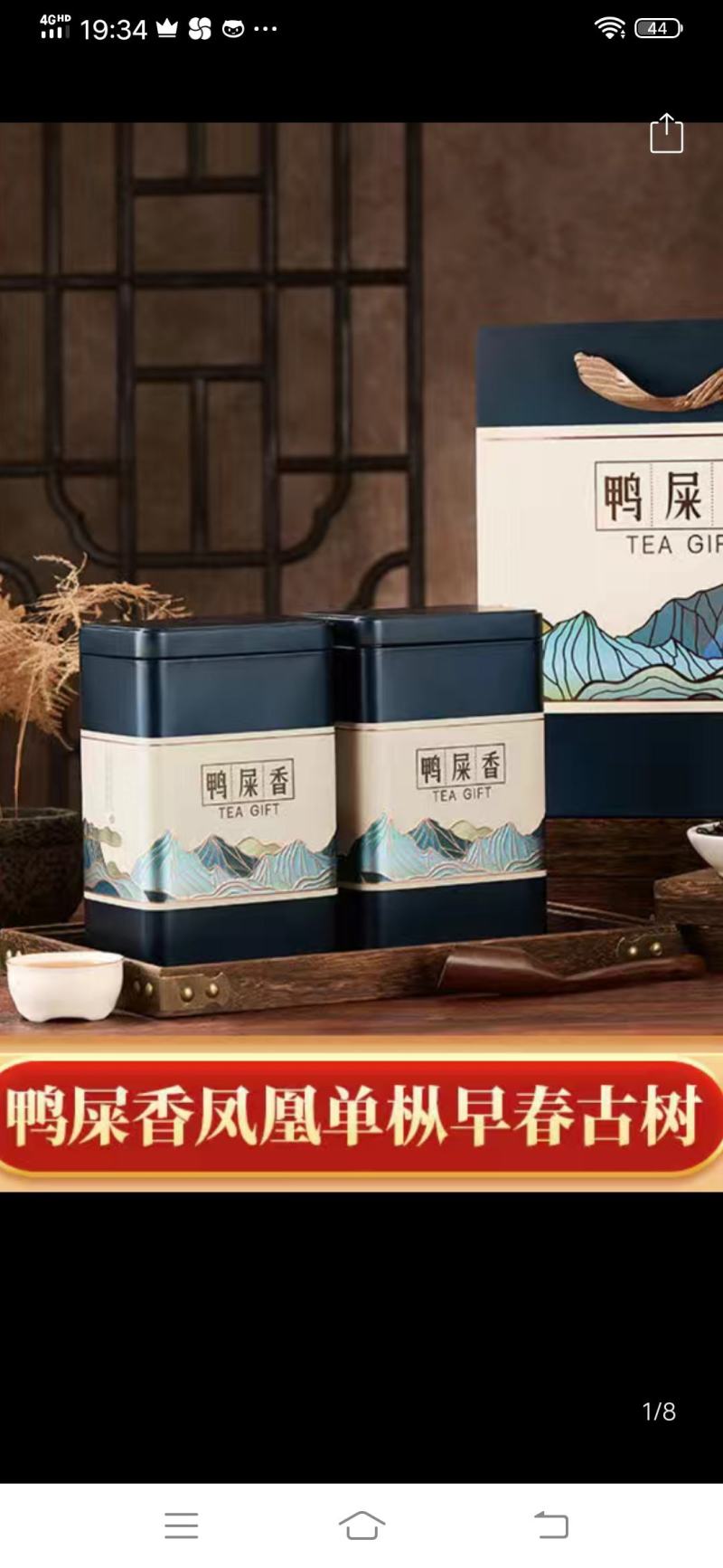 凤凰春蜜兰单枞老树生态