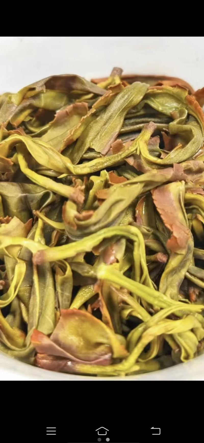 凤凰春蜜兰单枞老树生态