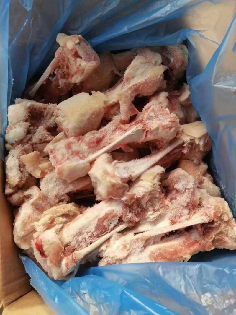 后肘骨