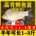优质大种鲫鱼苗中科五号湘云鲫鱼工程鲫鱼黄金鲫鱼