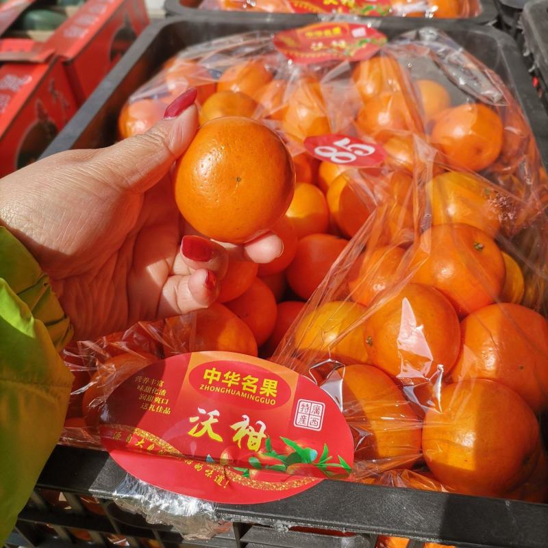 沃柑