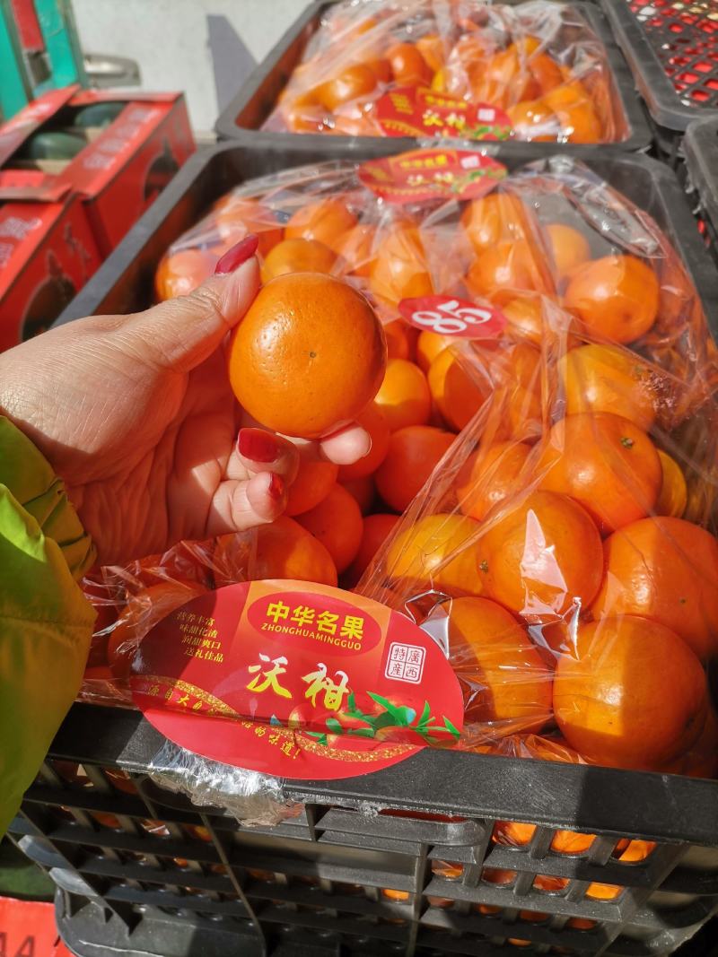 沃柑