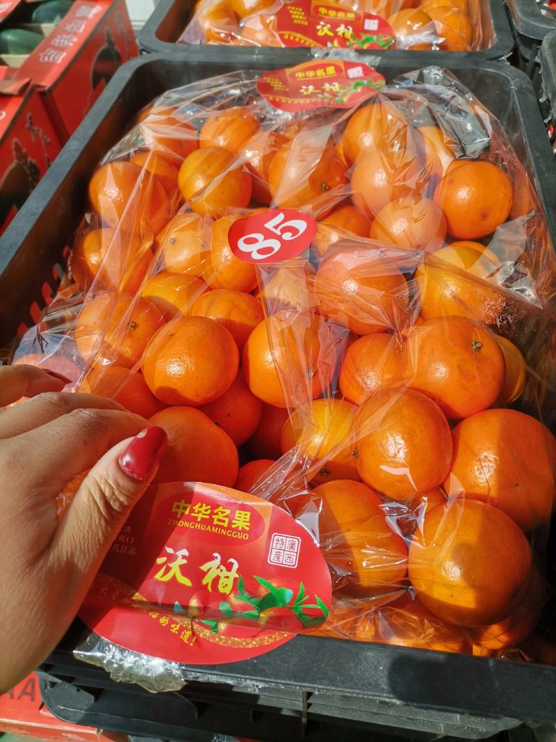 沃柑