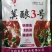 冀酿3号高粱种子新品种产量高矮杆大穗全糯价高