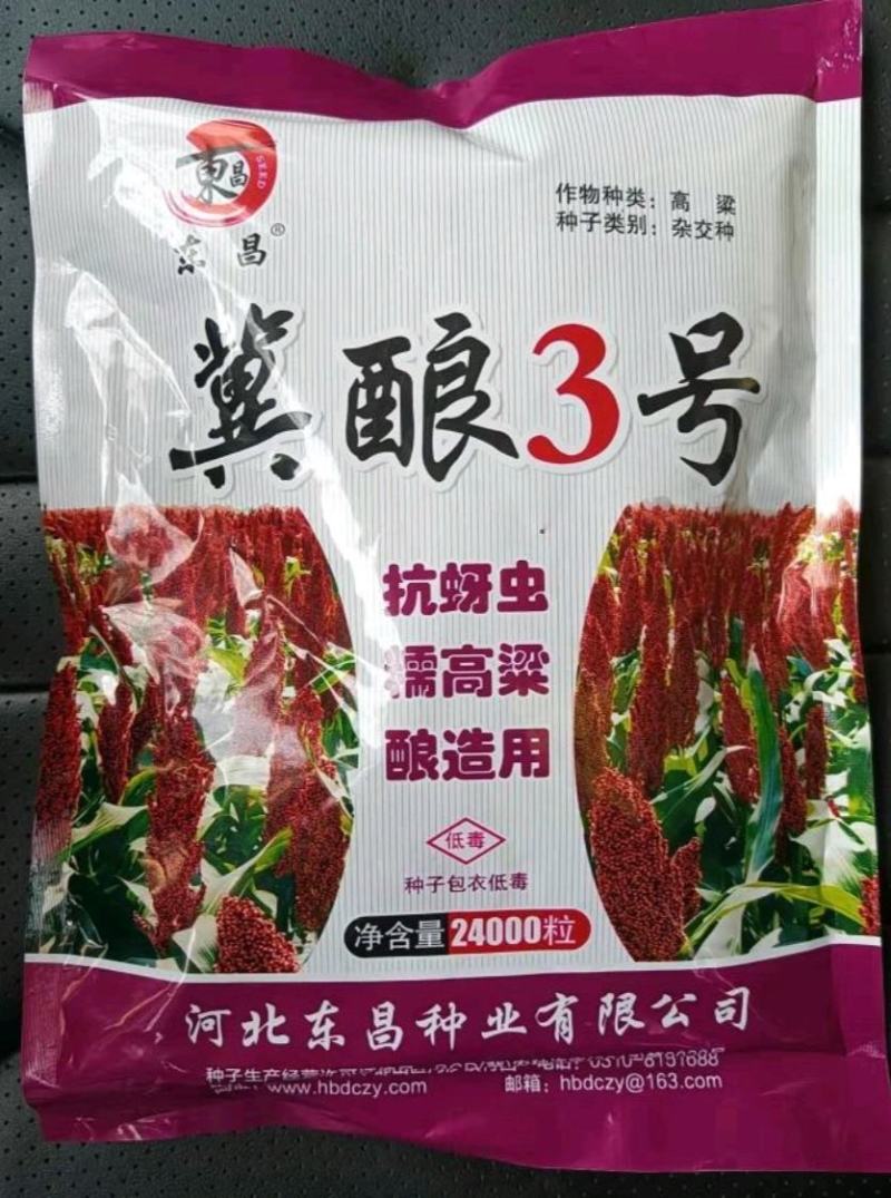 冀酿3号高粱种子新品种产量高矮杆大穗全糯价高