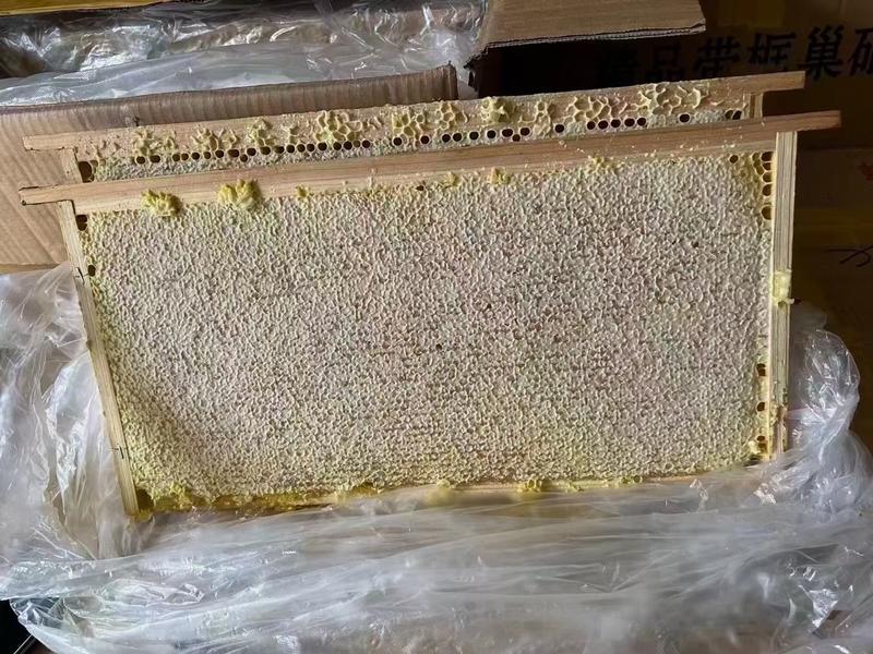 赶集展会跑江湖蜂巢蜜整件批发框装蜂蜜纯蜂蜜
