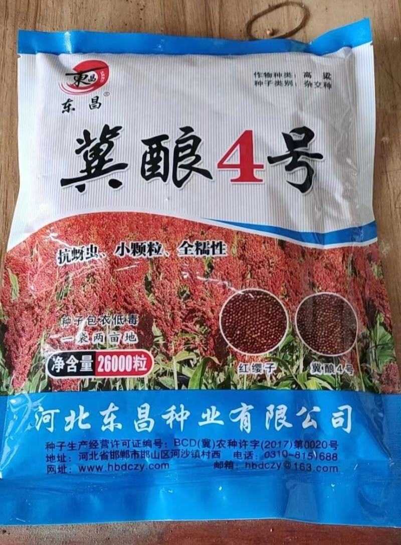 冀酿4号高粱种子新品种产量高矮杆大穗全糯价高