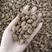 砂仁，壳砂，无硫长果，产地缅甸货源充足，保质保量