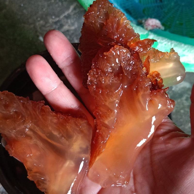 海蜇头海蜇叶海蜇皮红头单角规格齐全产地直发