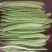 商河扁青芸豆