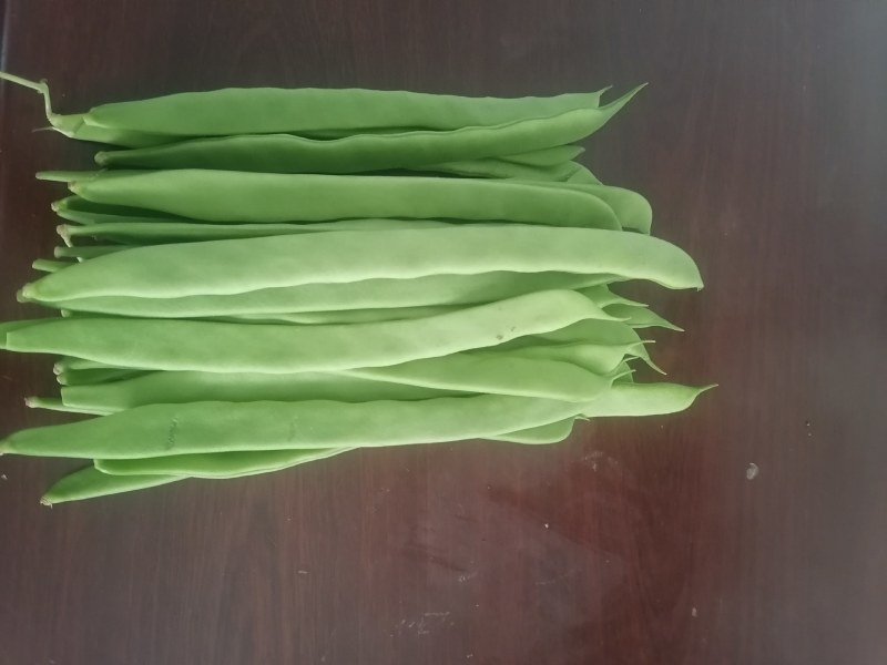 商河扁青芸豆