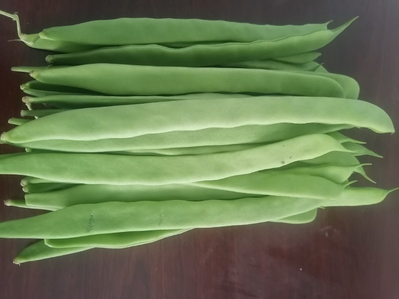 商河扁青芸豆