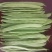 商河扁青芸豆
