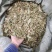 排钱草大量有货，欢迎新老客户前来合作，量大优惠