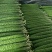 【推荐】山东省.市场.产地代收