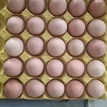 常年出售土鸡蛋，粉820万羽鸡场直供，产地安徽