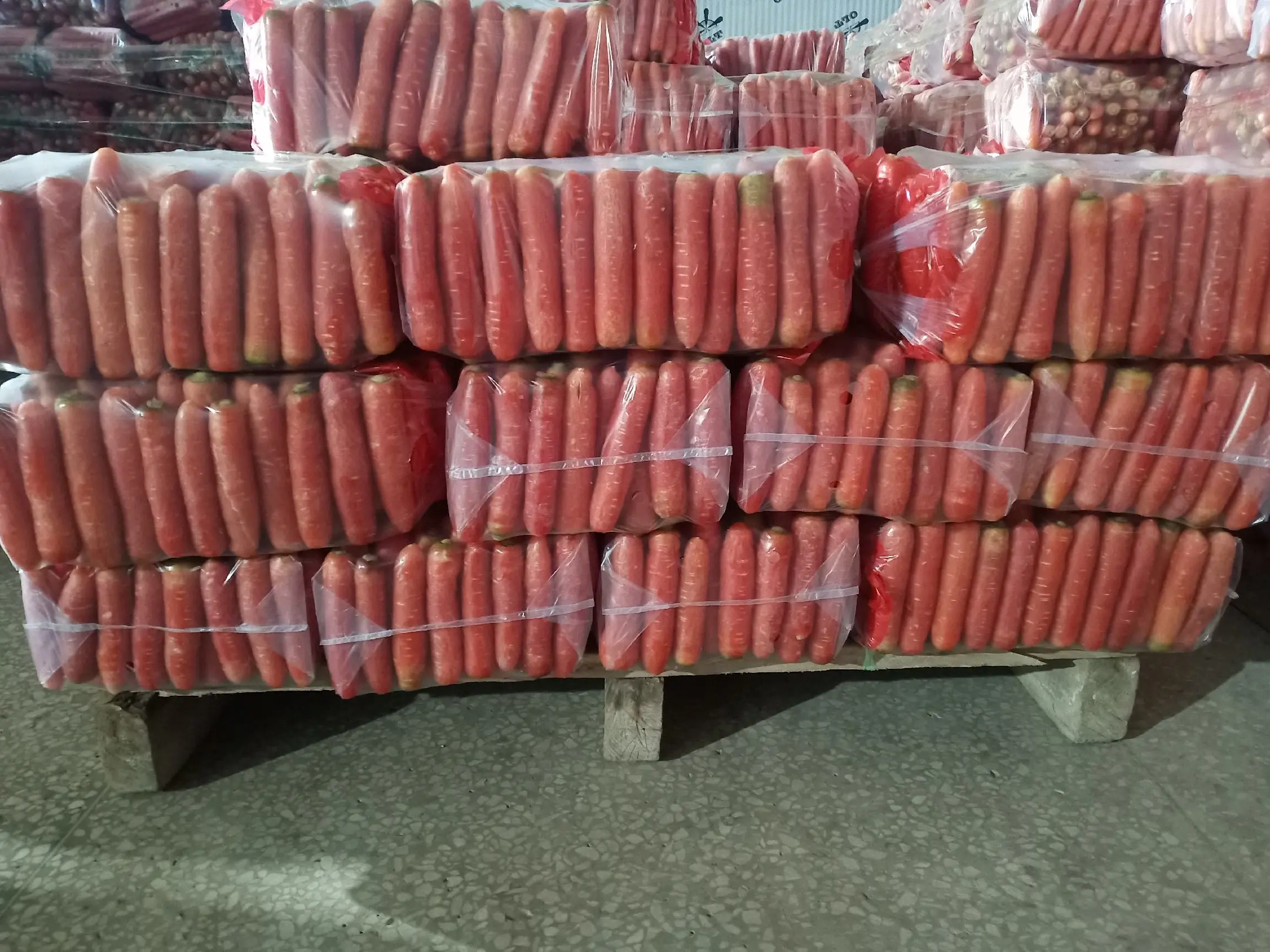 广红胡萝卜采收与商品化处理流水线实景图
