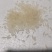 紫苏叶，紫苏杆，大米，万寿贡米