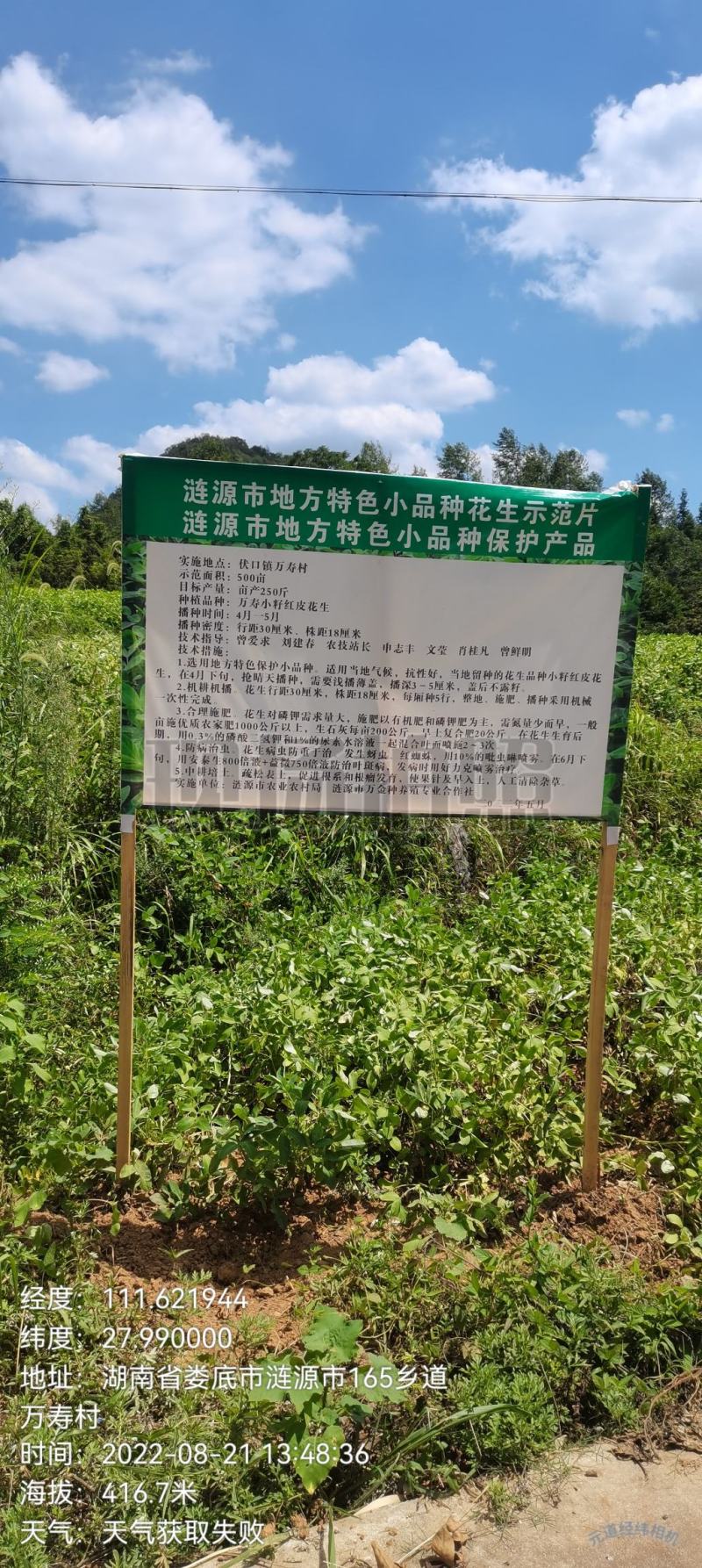 紫苏叶，紫苏杆，大米，万寿贡米