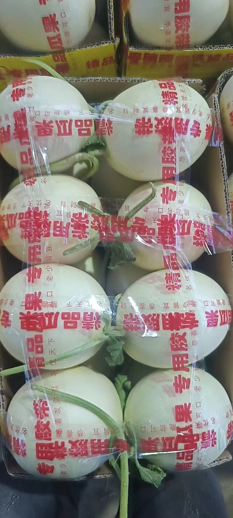 单县李新庄镇洋香瓜即将上市欢迎选购对接各大电商，市场档口