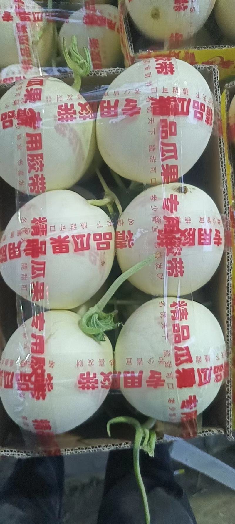 单县李新庄镇洋香瓜即将上市欢迎选购对接各大电商，市场档口