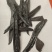 水蛭看规格下单支持代发1000克支持报价