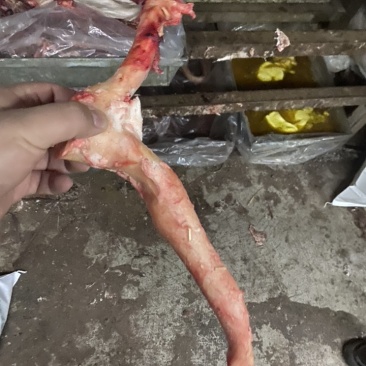 牛心管精修无油现货，可以视频看货，专注牛副15年