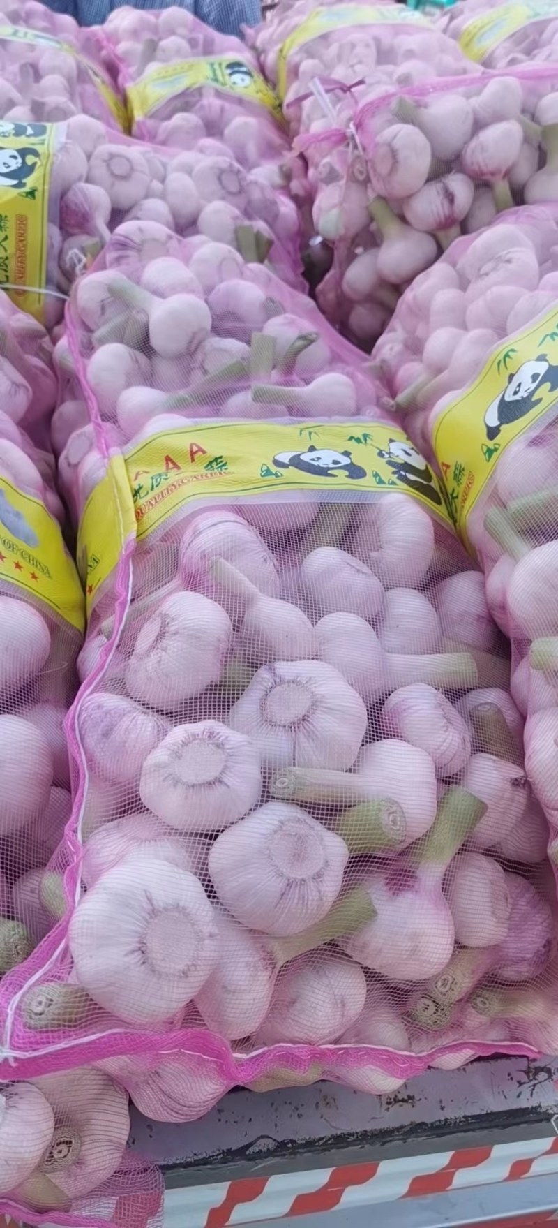 大量供应淮阳扒皮蒜，质量好价格低，欢迎全国客商实地考察