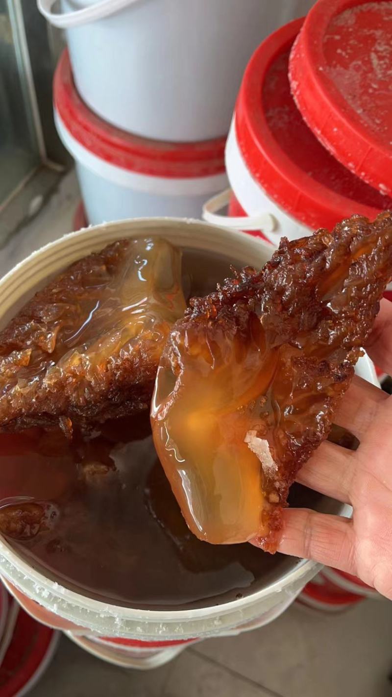 海蜇头海蜇叶海蜇皮红头单角规格齐全产地直发