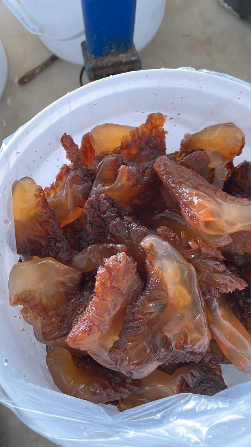 海蜇头海蜇叶海蜇皮红头单角规格齐全产地直发