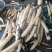 东北野生荷藕