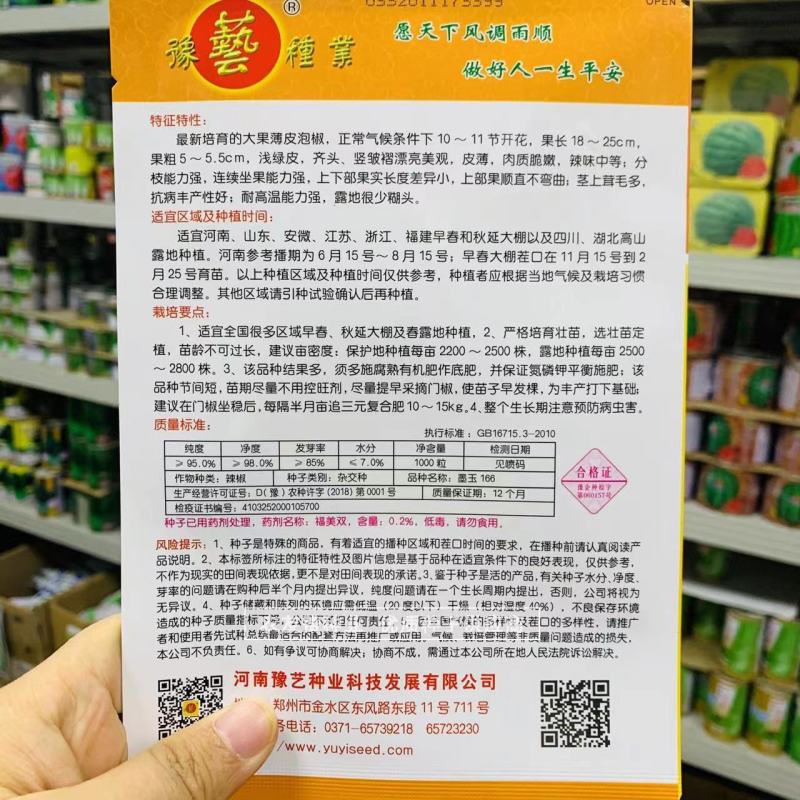 墨玉166耐高温抗糊头薄皮椒种子浅绿皮大果泡椒种子耐热