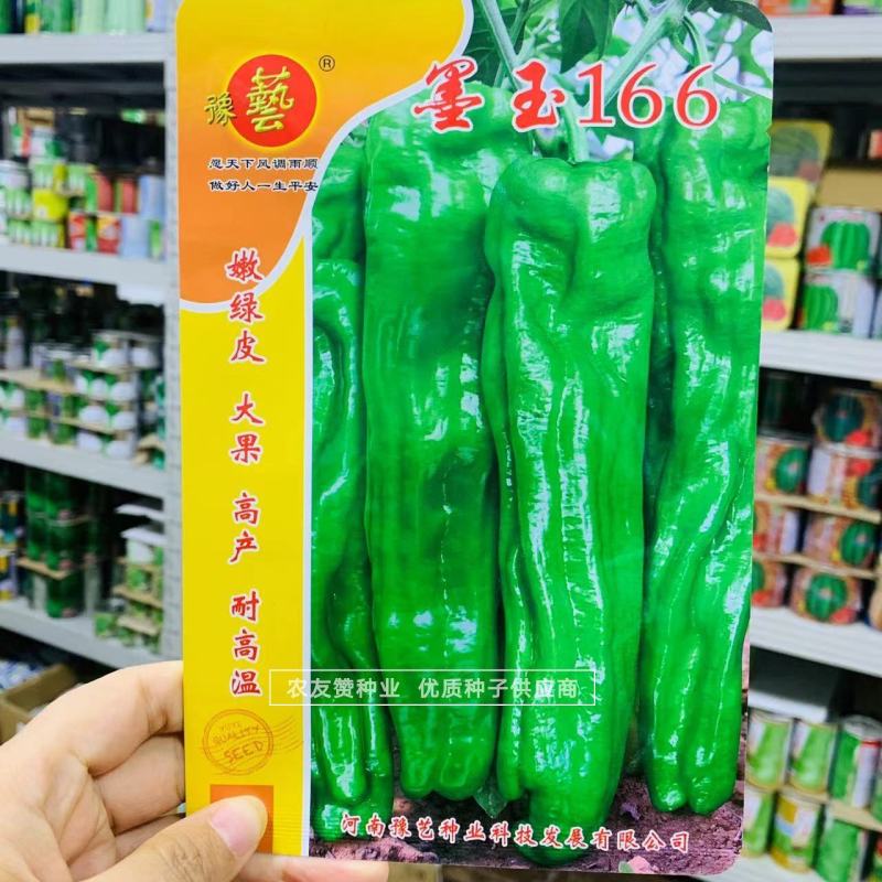 墨玉166耐高温抗糊头薄皮椒种子浅绿皮大果泡椒种子耐热