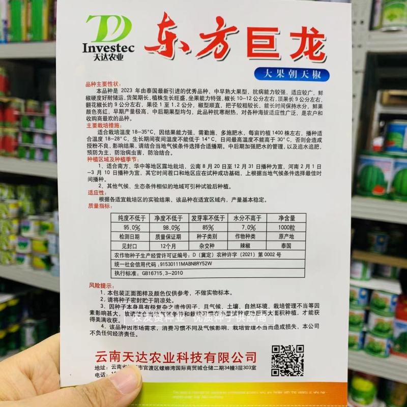 东方巨龙新品种特大果朝天椒种子椒型顺直抗病高产辣味浓