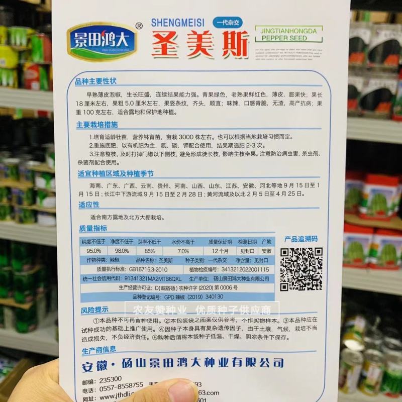 绿色大薄皮辣椒种子早熟味辣椒型顺直薄皮泡椒种子清脆无渣