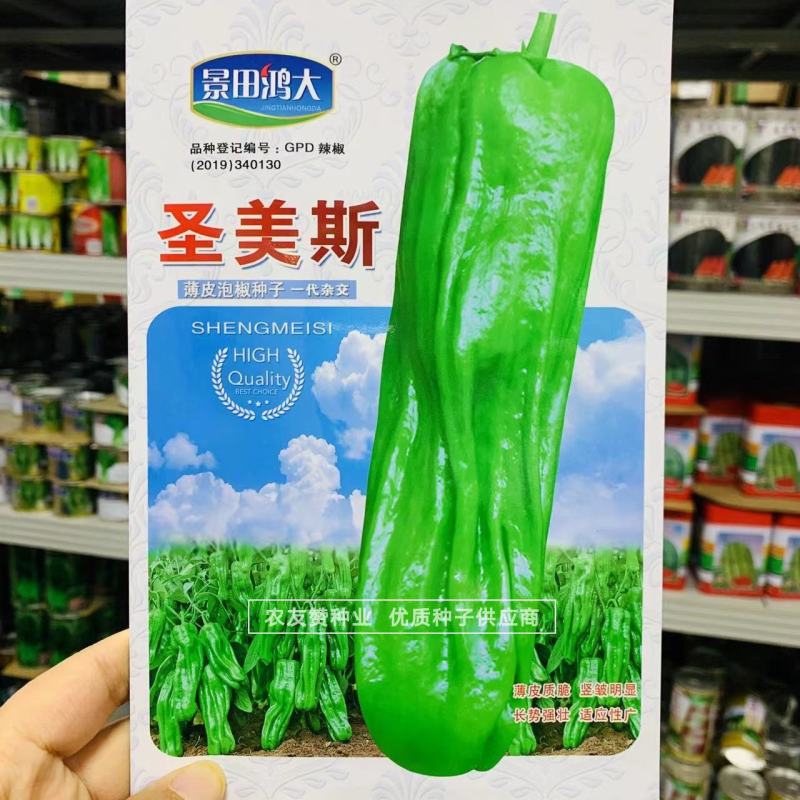 绿色大薄皮辣椒种子早熟味辣椒型顺直薄皮泡椒种子清脆无渣