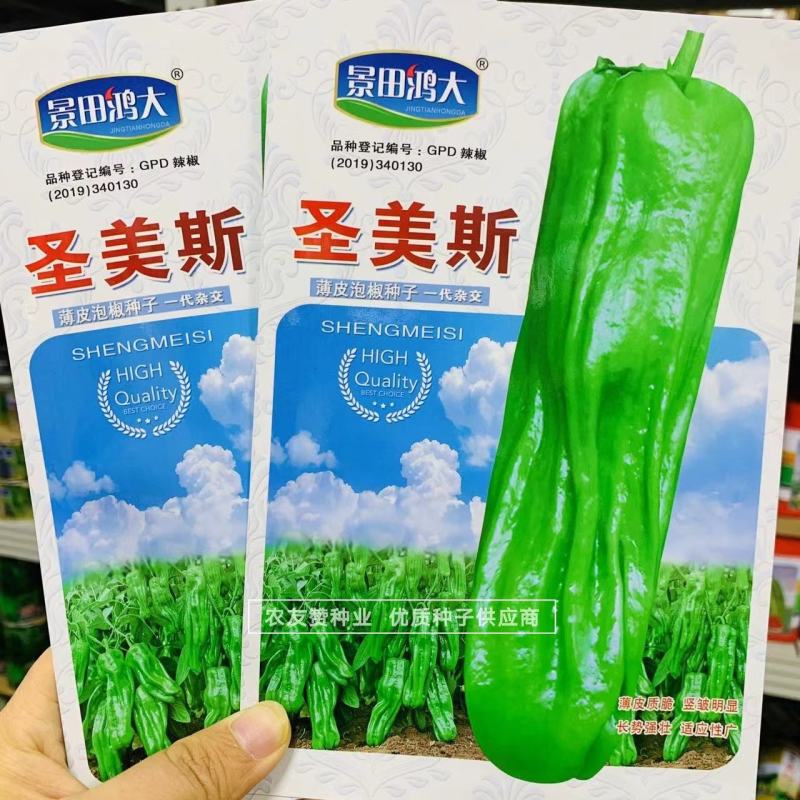 绿色大薄皮辣椒种子早熟味辣椒型顺直薄皮泡椒种子清脆无渣
