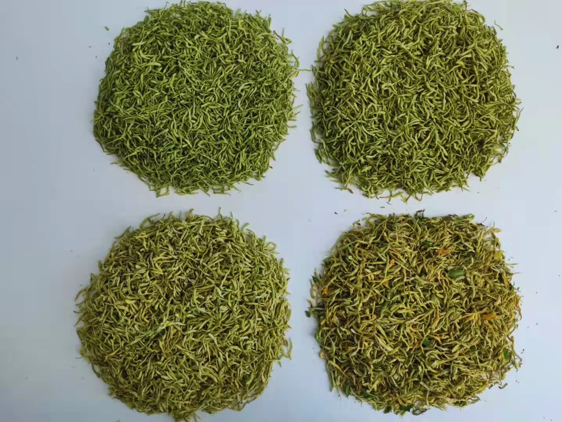 侧柏叶成品药材展示图