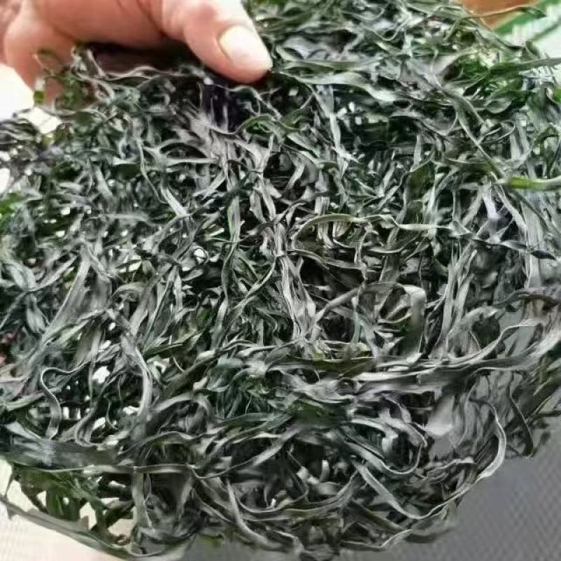 海带丝烘干水洗海带丝压缩海带丝海带干海带海带丝