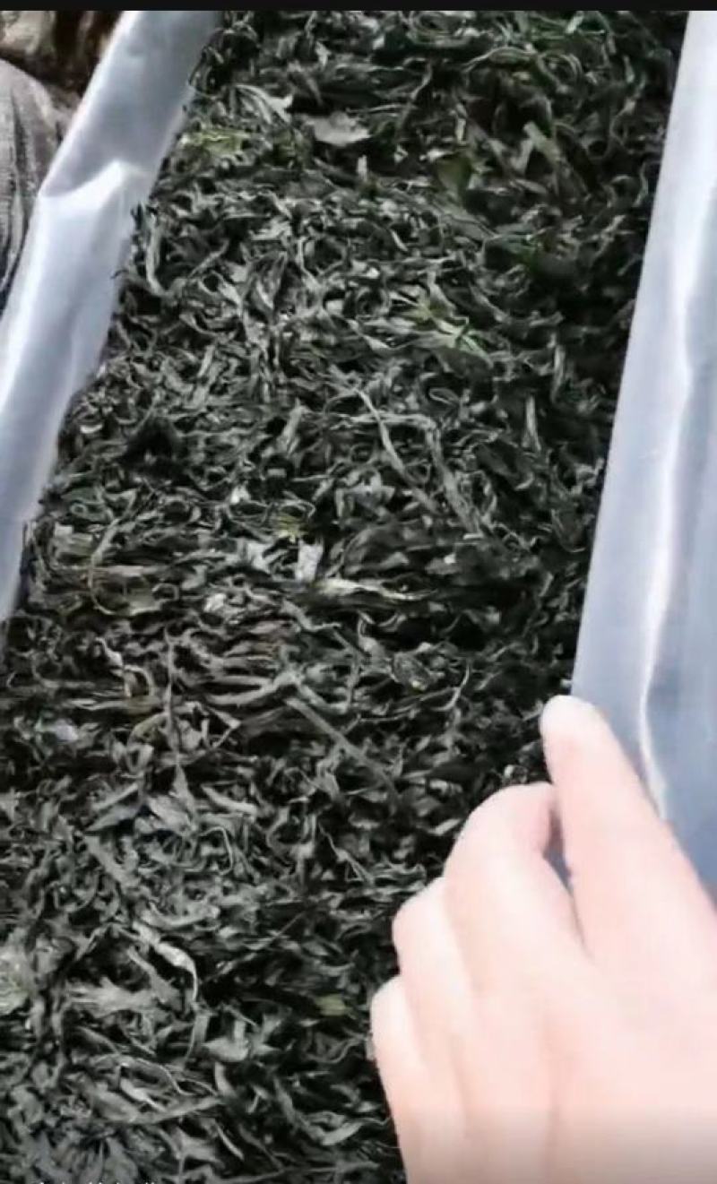 海带丝烘干水洗海带丝压缩海带丝海带干海带海带丝