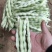 芸豆