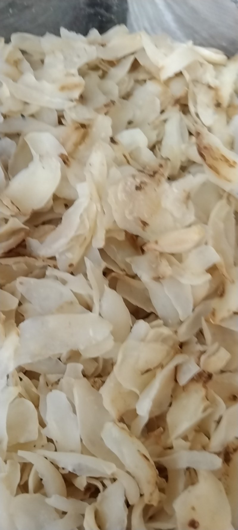 粉质野生牛大大力新货无硫香味十足各种规格批零兼营
