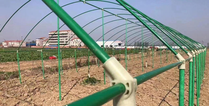 玻璃纤维立柱支撑农业新型材料育苗支架拱棚支架