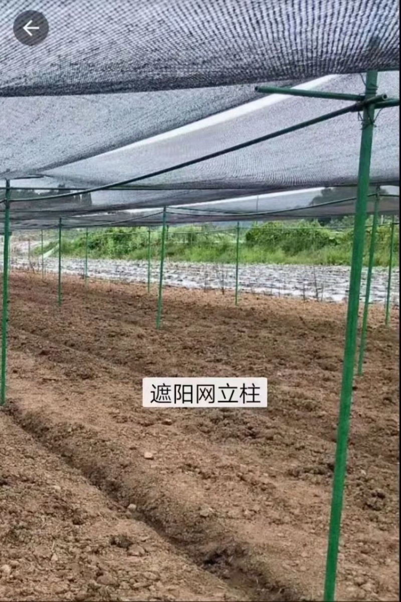 玻璃纤维立柱支撑农业新型材料育苗支架拱棚支架