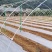 玻璃纤维立柱支撑农业新型材料育苗支架拱棚支架