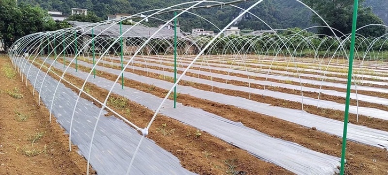 玻璃纤维立柱支撑农业新型材料育苗支架拱棚支架