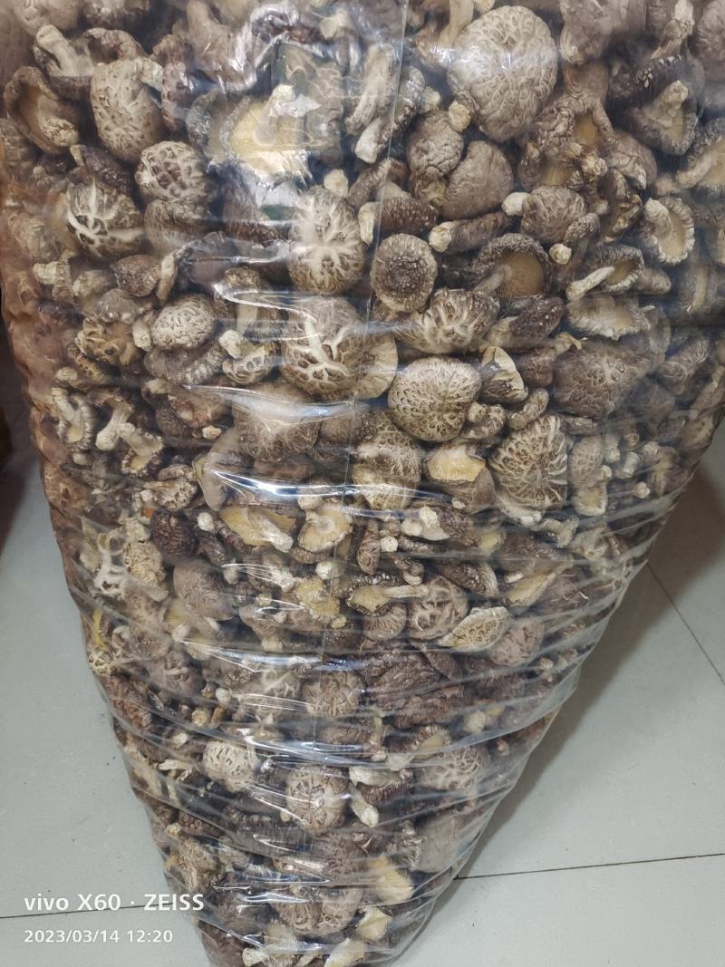 本地菇，香味超浓郁原木冬菇口感特别的好