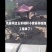 玉米秸秆小套袋