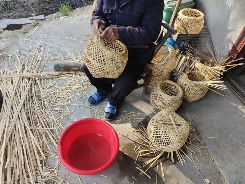 湖南长沙散养土鸡蛋绿壳虫草蛋粉壳初生柴鸡蛋